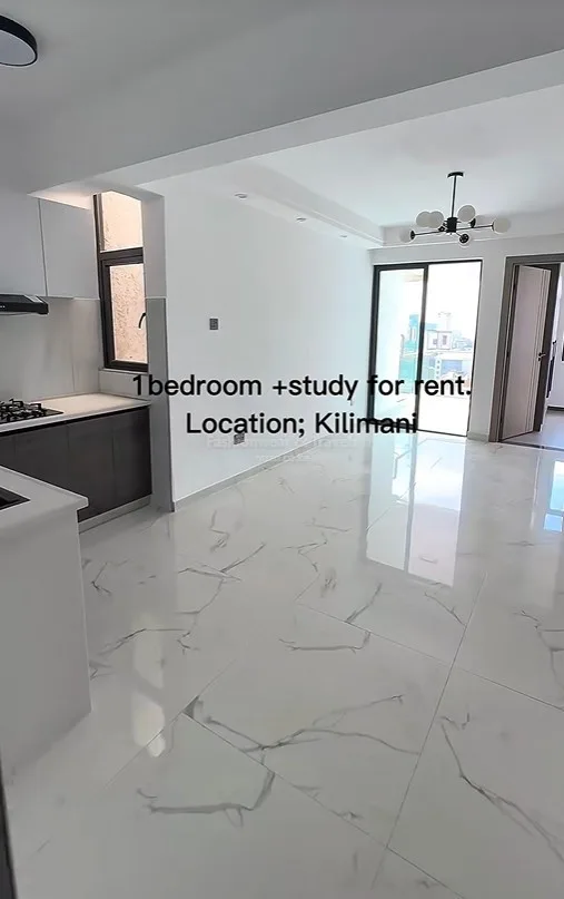Kilimani 1 bedroom apartment to let - 1 bedroom houses for rent in Kilimani
