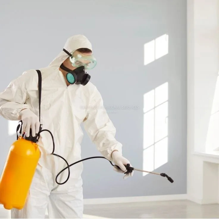 Fumigation services