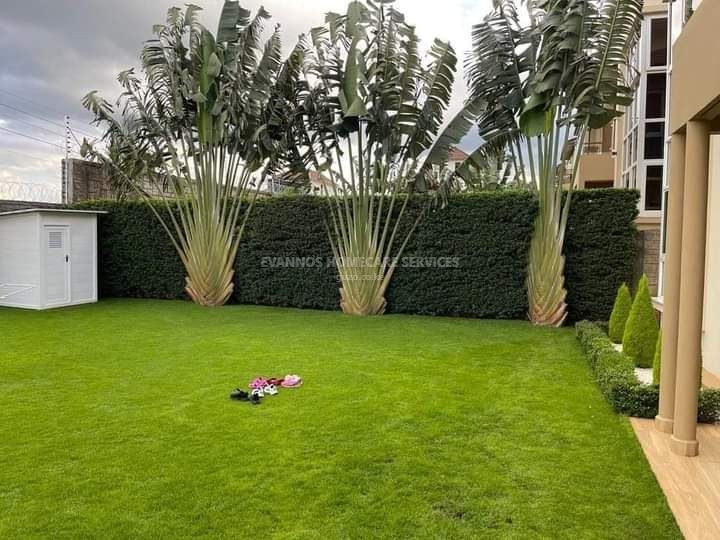 Landscaping design