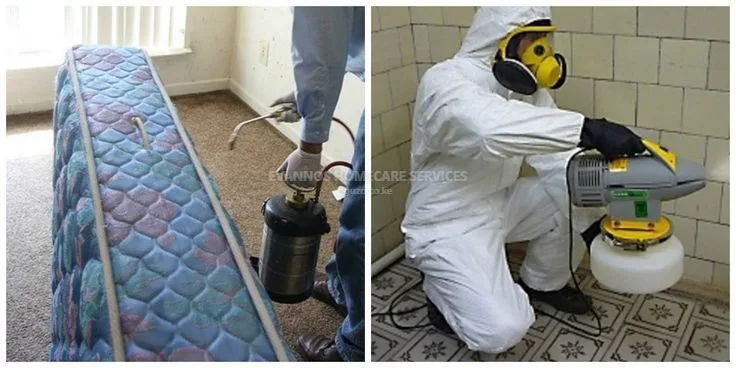 Fumigation services