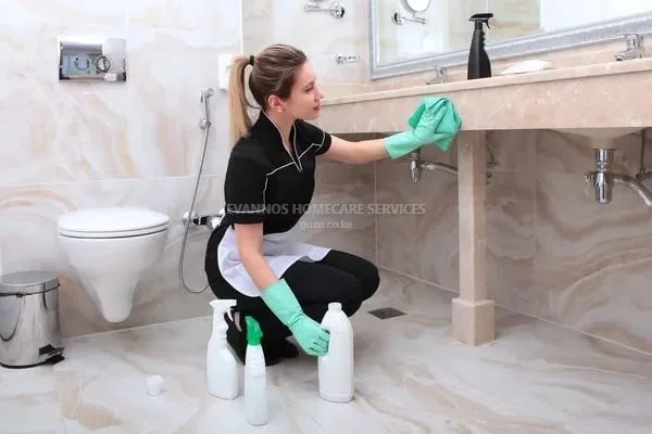 House maids services