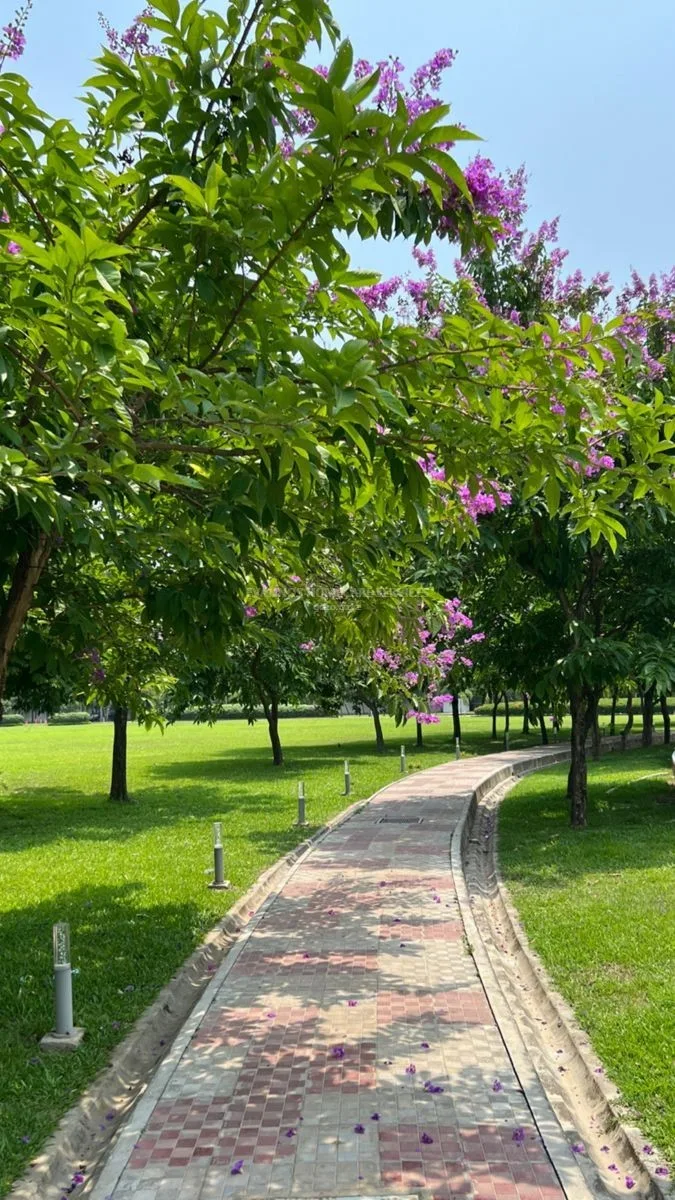 Landscaping and gardening services