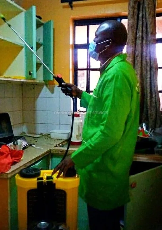 Pest control and fumigation