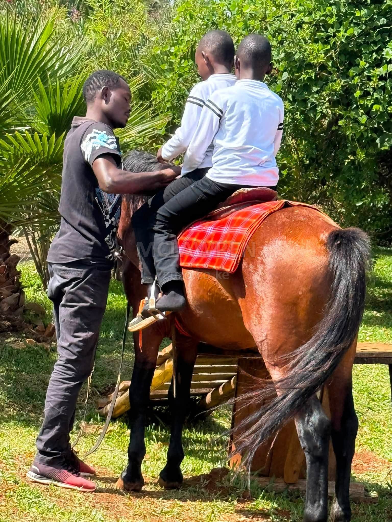 Tiret Riverside Resort and Retreat Eldoret. Swimming, horse riding and Game