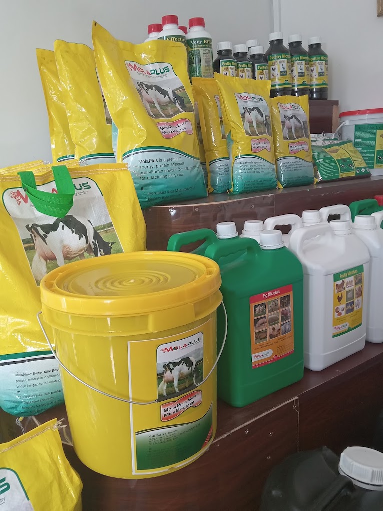 Ritukesh Animal Feeds - Animal Feed Store in Ruiru