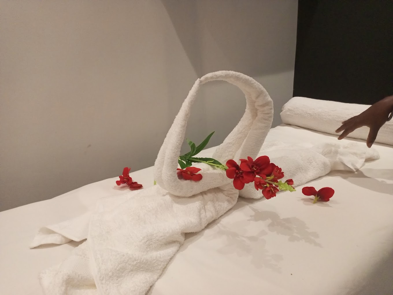 Arden Spa & Barbershop