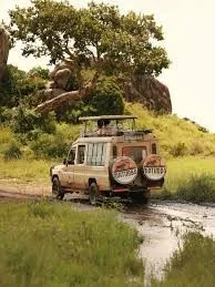 ILLICONS TOURS AND TRAVELS